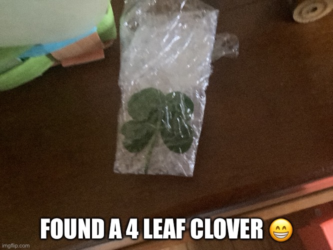 4 leaf clover | FOUND A 4 LEAF CLOVER 😁 | image tagged in 4 leaf clover,happy,luck | made w/ Imgflip meme maker