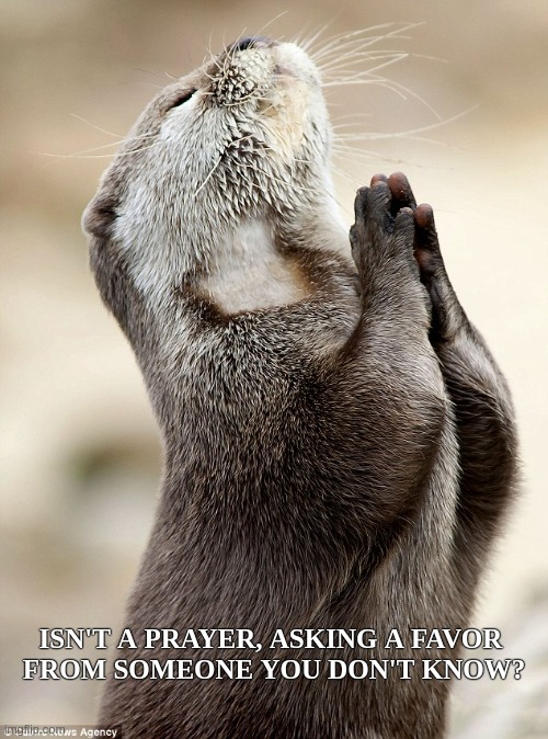 He's got a point there.... | ISN'T A PRAYER, ASKING A FAVOR 
FROM SOMEONE YOU DON'T KNOW? | image tagged in otter prayer,no no hes got a point,deep thoughts,funny,religion,oh well | made w/ Imgflip meme maker