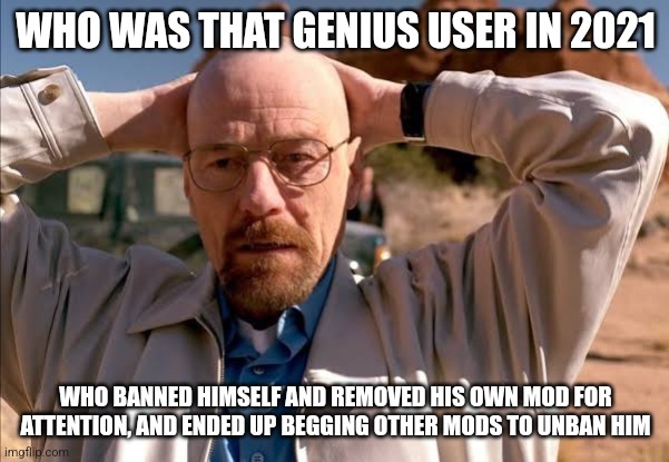 flabbergasted walt | WHO WAS THAT GENIUS USER IN 2021; WHO BANNED HIMSELF AND REMOVED HIS OWN MOD FOR ATTENTION, AND ENDED UP BEGGING OTHER MODS TO UNBAN HIM | image tagged in flabbergasted walt | made w/ Imgflip meme maker