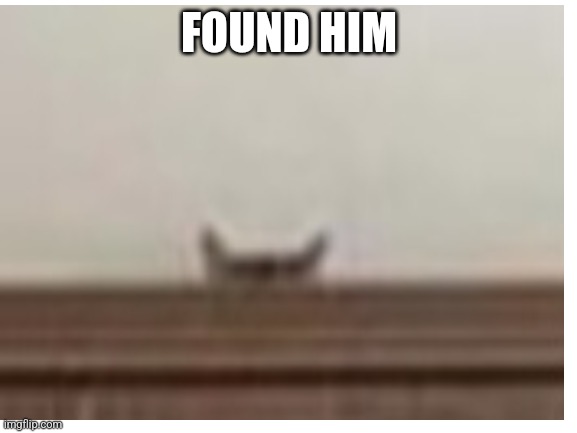 FOUND HIM | made w/ Imgflip meme maker