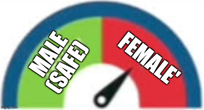 Alright, who set off the detector | MALE (SAFE); FEMALE' | image tagged in incorrect buzzer | made w/ Imgflip meme maker