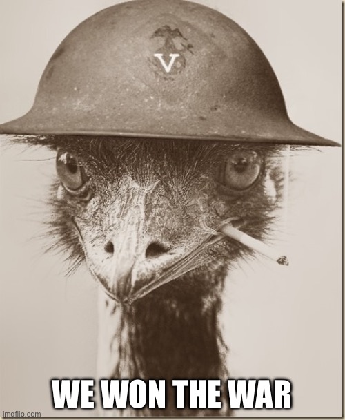 War emu | WE WON THE WAR | image tagged in war emu | made w/ Imgflip meme maker