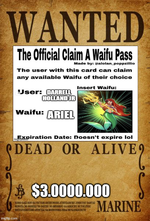 waifu pass | $3.0000.000 | image tagged in one piece,waifu,ariel,anime,password | made w/ Imgflip meme maker