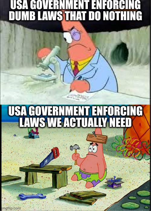 PAtrick, Smart Dumb | USA GOVERNMENT ENFORCING DUMB LAWS THAT DO NOTHING; USA GOVERNMENT ENFORCING LAWS WE ACTUALLY NEED | image tagged in patrick smart dumb | made w/ Imgflip meme maker