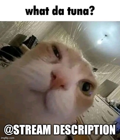 What da tuna? | @STREAM DESCRIPTION | image tagged in what da tuna | made w/ Imgflip meme maker