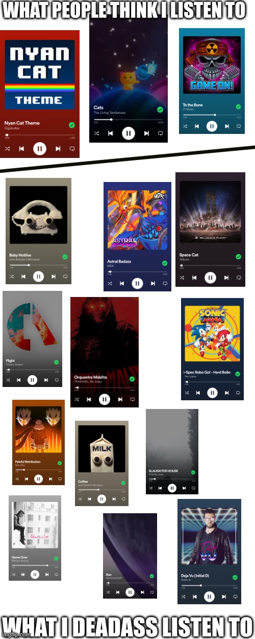 Ass music taste ? | WHAT PEOPLE THINK I LISTEN TO; WHAT I DEADASS LISTEN TO | image tagged in e | made w/ Imgflip meme maker