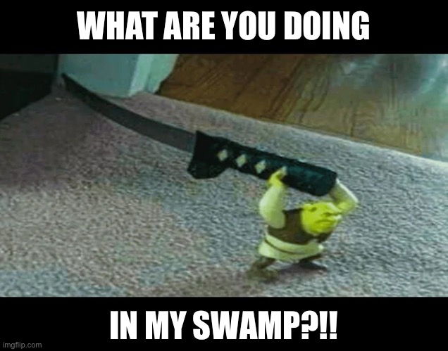 What are you doing in my swamp?!! | WHAT ARE YOU DOING; IN MY SWAMP?!! | image tagged in shrek has found your actions punishable by death,shrek what are you doing in my swamp,get out of my swamp,shrek | made w/ Imgflip meme maker