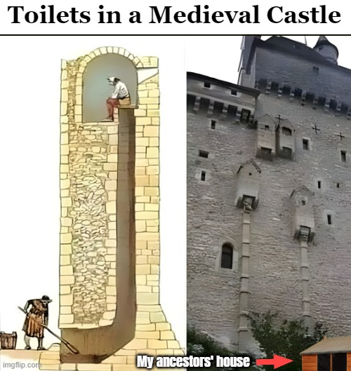 Luck of my family tree | Toilets in a Medieval Castle; My ancestors' house | image tagged in funny,medieval memes | made w/ Imgflip meme maker