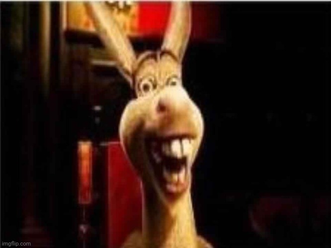 Donkey! | image tagged in argument donkey shrek | made w/ Imgflip meme maker