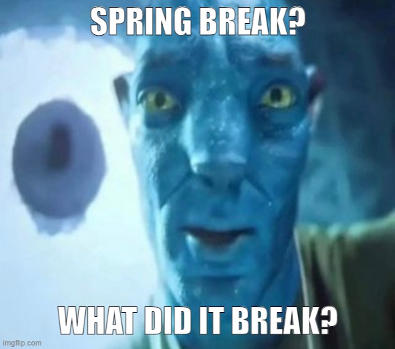 Avatar guy | SPRING BREAK? WHAT DID IT BREAK? | image tagged in avatar guy | made w/ Imgflip meme maker