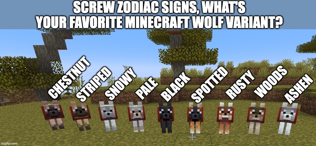 Comments disabled by a moderator | SCREW ZODIAC SIGNS, WHAT'S YOUR FAVORITE MINECRAFT WOLF VARIANT? CHESTNUT; WOODS; STRIPED; SNOWY; SPOTTED; RUSTY; BLACK; PALE; ASHEN | image tagged in random tag,minecraft,funny,oh wow are you actually reading these tags | made w/ Imgflip meme maker
