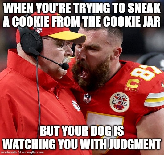 Travis Kelce screaming | WHEN YOU'RE TRYING TO SNEAK A COOKIE FROM THE COOKIE JAR; BUT YOUR DOG IS WATCHING YOU WITH JUDGMENT | image tagged in travis kelce screaming | made w/ Imgflip meme maker