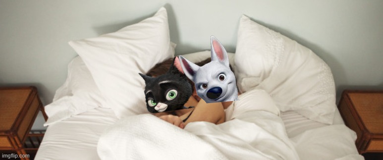 bolt and mittens cuddle in bed | image tagged in couple cuddles bed,dogs,cats,bolt,disney | made w/ Imgflip meme maker
