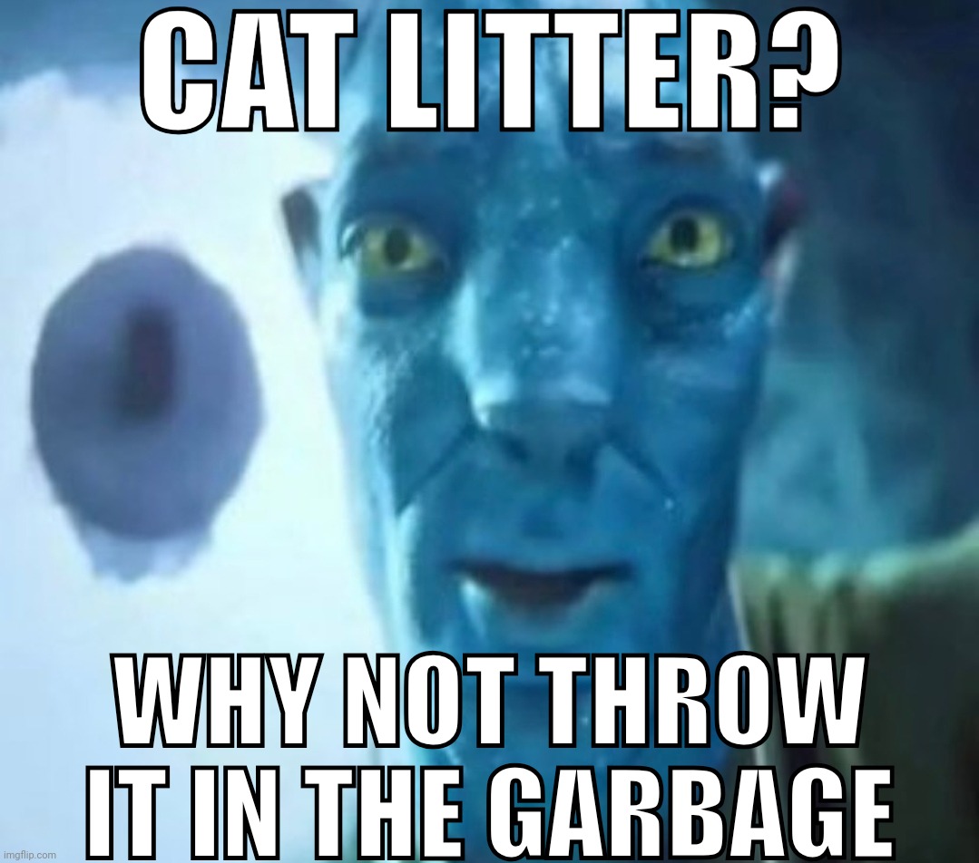 Avatar guy | CAT LITTER? WHY NOT THROW IT IN THE GARBAGE | image tagged in avatar guy | made w/ Imgflip meme maker
