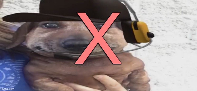 chucklenuts | X | image tagged in chucklenuts | made w/ Imgflip meme maker