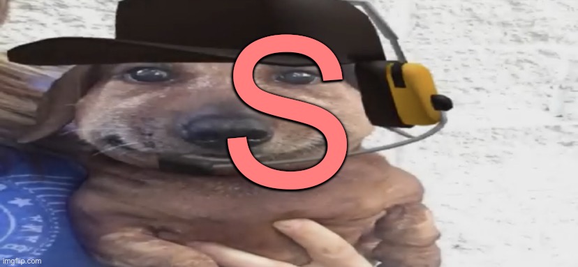 chucklenuts | S | image tagged in chucklenuts | made w/ Imgflip meme maker