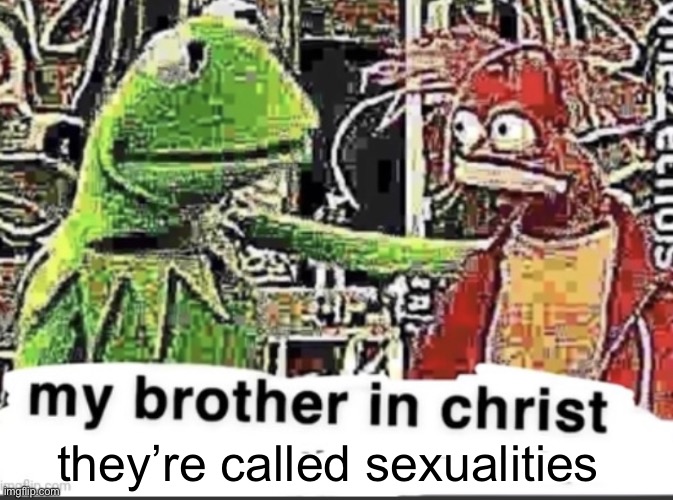 they’re called sexualities | image tagged in my brother in christ | made w/ Imgflip meme maker