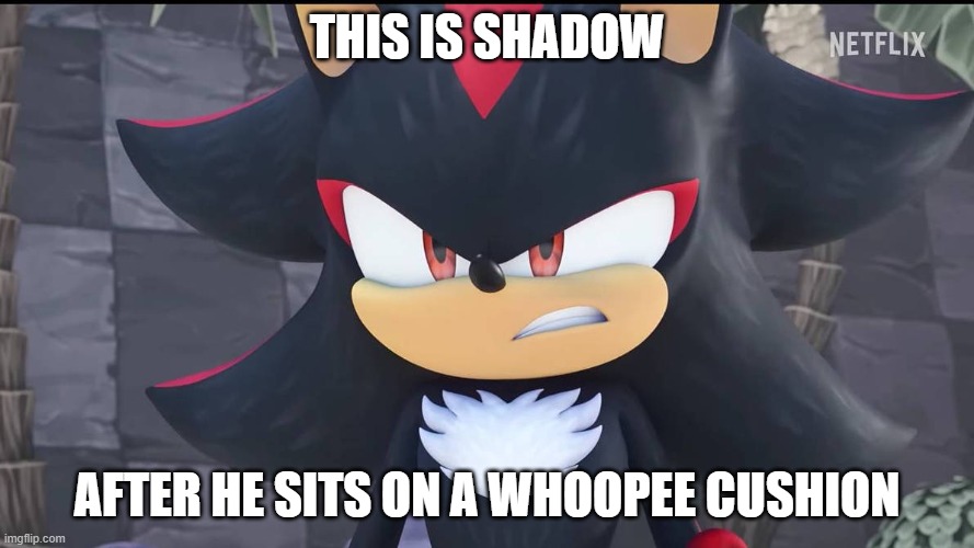 Shadow does not like this prank | THIS IS SHADOW; AFTER HE SITS ON A WHOOPEE CUSHION | image tagged in shadow the hedgehog,sonic the hedgehog,april fools | made w/ Imgflip meme maker