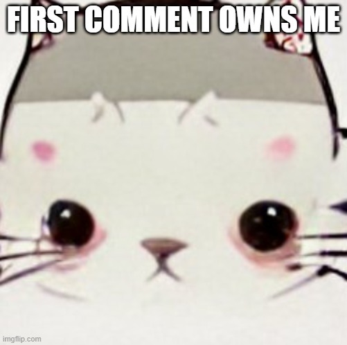 3rd and last one | FIRST COMMENT OWNS ME | image tagged in hoes zad | made w/ Imgflip meme maker