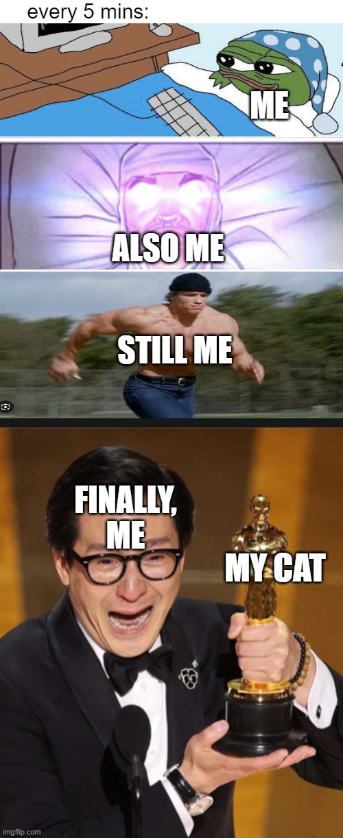 me and my cat | every 5 mins:; ME; ALSO ME; STILL ME; FINALLY, ME; MY CAT | image tagged in cats | made w/ Imgflip meme maker