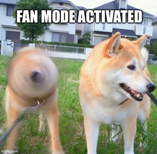 Fan mode activated | FAN MODE ACTIVATED | image tagged in maximum bork mode,fans,fan,doge,dog,dogs | made w/ Imgflip meme maker