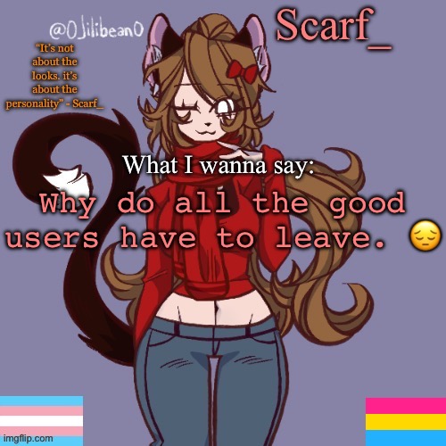 Scarf_ Announcement Template | Why do all the good users have to leave. 😔 | image tagged in scarf_ announcement template | made w/ Imgflip meme maker