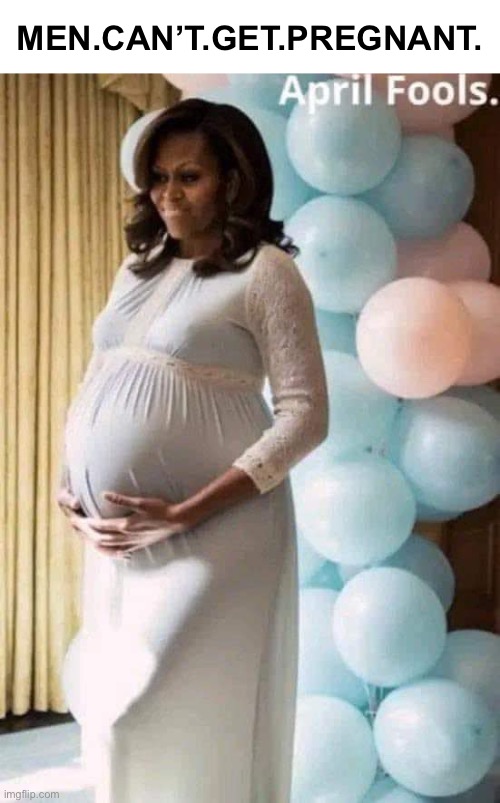 Michelle pregnant | MEN.CAN’T.GET.PREGNANT. | image tagged in michelle pregnant | made w/ Imgflip meme maker
