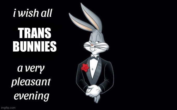 Easter is Trans-Day | TRANS BUNNIES | image tagged in i wish all the x a very pleasant evening,memes | made w/ Imgflip meme maker