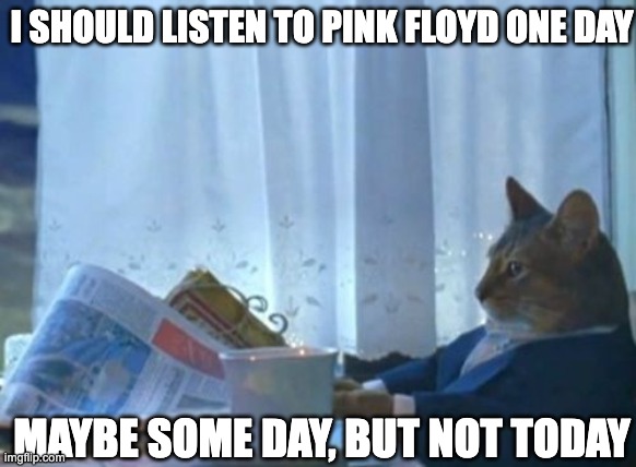 The Pink Floyd Realization | I SHOULD LISTEN TO PINK FLOYD ONE DAY; MAYBE SOME DAY, BUT NOT TODAY | image tagged in memes,i should buy a boat cat | made w/ Imgflip meme maker