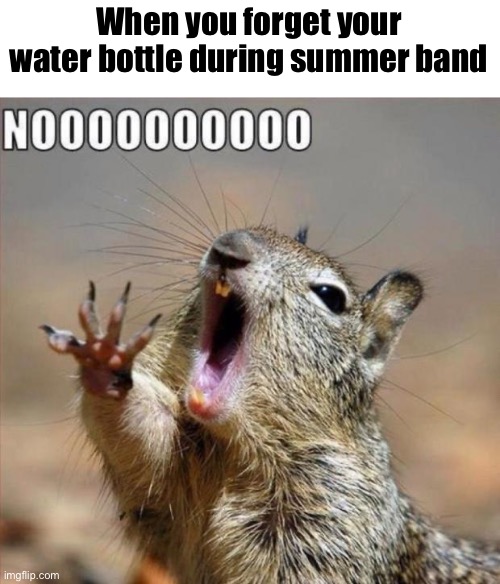 This is the worst thing that could ever happen to a band kid | When you forget your water bottle during summer band | image tagged in noooooooooooooooooooooooo | made w/ Imgflip meme maker