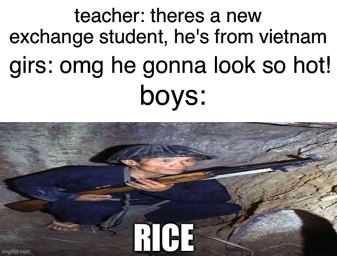 vietnam | teacher: theres a new exchange student, he's from vietnam; girs: omg he gonna look so hot! boys:; RICE | image tagged in boys vs girls exchange student template | made w/ Imgflip meme maker