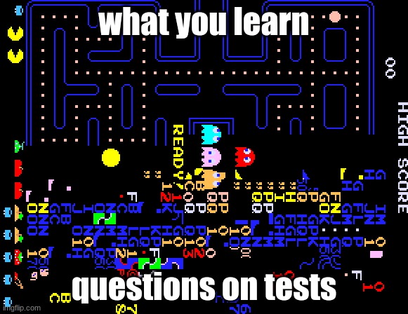 true | what you learn; questions on tests | image tagged in pacman,pac man,videogame,video game,school meme,school memes | made w/ Imgflip meme maker