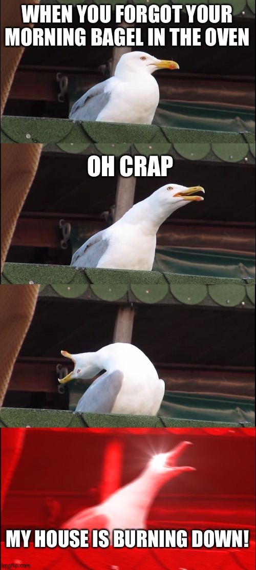 Inhaling Seagull | WHEN YOU FORGOT YOUR MORNING BAGEL IN THE OVEN; OH CRAP; MY HOUSE IS BURNING DOWN! | image tagged in memes,inhaling seagull | made w/ Imgflip meme maker