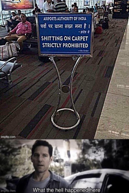 image tagged in shitting on carpet strictly prohibited,what the hell happened here | made w/ Imgflip meme maker