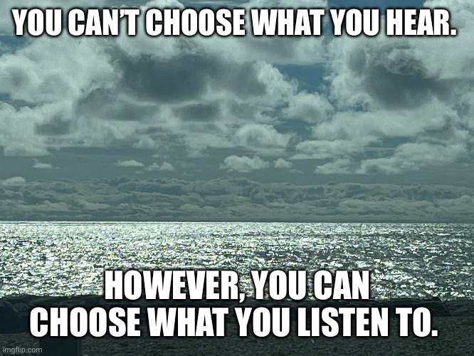 You can’t choose what you hear. However, you can choose what you listen to. | YOU CAN’T CHOOSE WHAT YOU HEAR. HOWEVER, YOU CAN CHOOSE WHAT YOU LISTEN TO. | image tagged in inspiration,inspirational,inspirational memes,inspirational quote | made w/ Imgflip meme maker