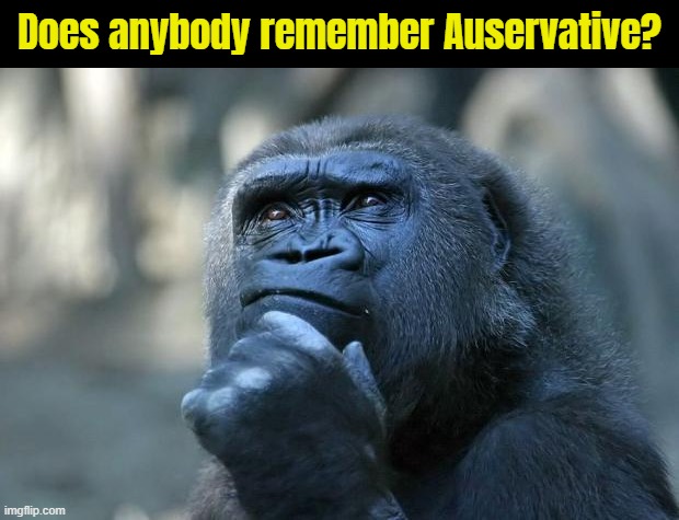 I wonder what happened to him, he was nice. | Does anybody remember Auservative? | image tagged in deep thoughts | made w/ Imgflip meme maker