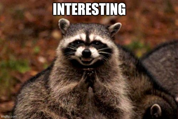 Evil Plotting Raccoon Meme | INTERESTING | image tagged in memes,evil plotting raccoon | made w/ Imgflip meme maker