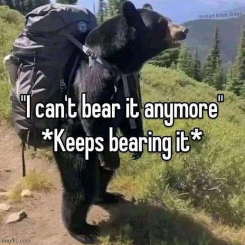 This joke is so bad | image tagged in bear | made w/ Imgflip meme maker