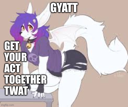 Furry Art | GET YOUR ACT TOGETHER TWAT; GYATT | image tagged in furry art | made w/ Imgflip meme maker