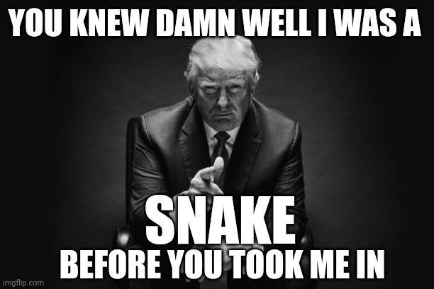 Donald Trump thug life | YOU KNEW DAMN WELL I WAS A; SNAKE; BEFORE YOU TOOK ME IN | image tagged in donald trump thug life,donald trump,trump | made w/ Imgflip meme maker