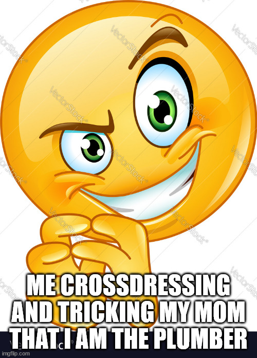 I did do this | ME CROSSDRESSING AND TRICKING MY MOM THAT I AM THE PLUMBER | image tagged in devious emoji | made w/ Imgflip meme maker