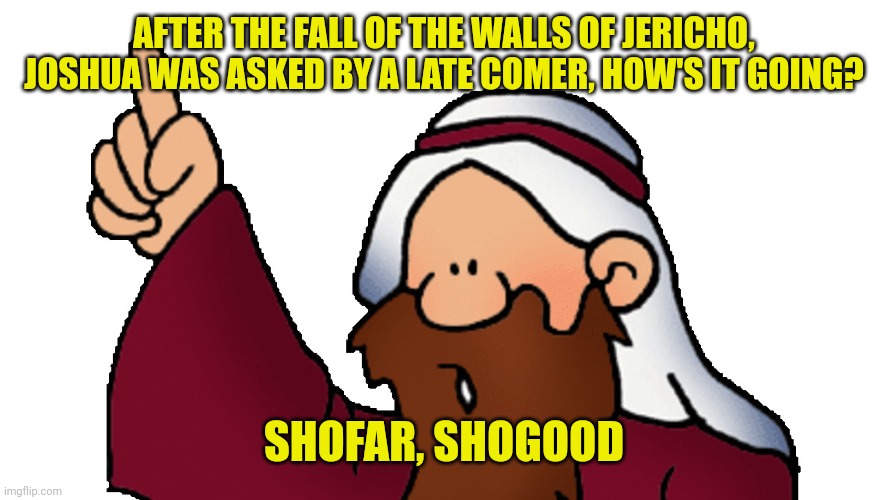 Cartoon prophet | AFTER THE FALL OF THE WALLS OF JERICHO, JOSHUA WAS ASKED BY A LATE COMER, HOW'S IT GOING? SHOFAR, SHOGOOD | image tagged in cartoon prophet | made w/ Imgflip meme maker