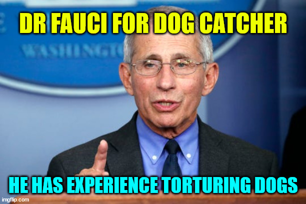 Dr. Fauci | DR FAUCI FOR DOG CATCHER HE HAS EXPERIENCE TORTURING DOGS | image tagged in dr fauci | made w/ Imgflip meme maker