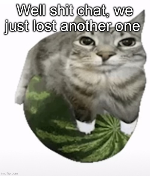 Happ | Well shit chat, we just lost another one | image tagged in happ | made w/ Imgflip meme maker