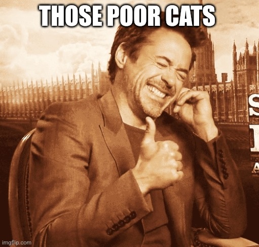 laughing | THOSE POOR CATS | image tagged in laughing | made w/ Imgflip meme maker