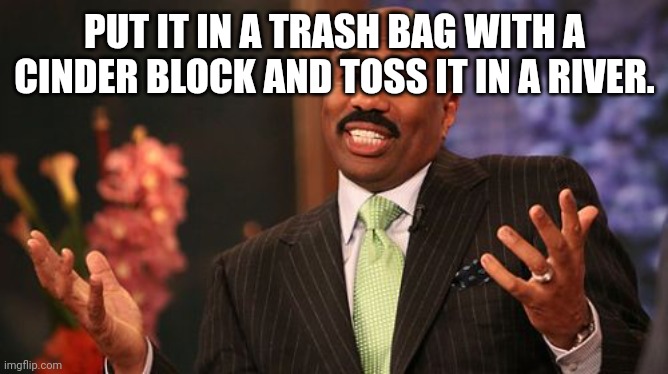 Steve Harvey Meme | PUT IT IN A TRASH BAG WITH A CINDER BLOCK AND TOSS IT IN A RIVER. | image tagged in memes,steve harvey | made w/ Imgflip meme maker