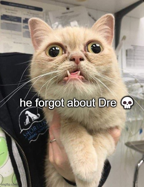 Y'all know me, still the same OG But I been low-key Hated on by most these n----s With no cheese, no deals, and no G's No wheels | he forgot about Dre 💀 | image tagged in stupid cat | made w/ Imgflip meme maker
