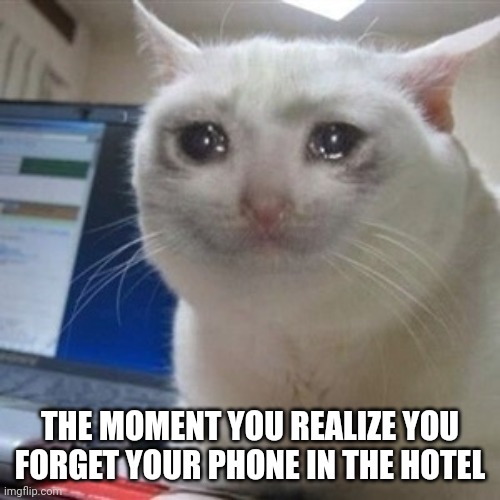 why must this happen | THE MOMENT YOU REALIZE YOU FORGET YOUR PHONE IN THE HOTEL | image tagged in crying cat | made w/ Imgflip meme maker