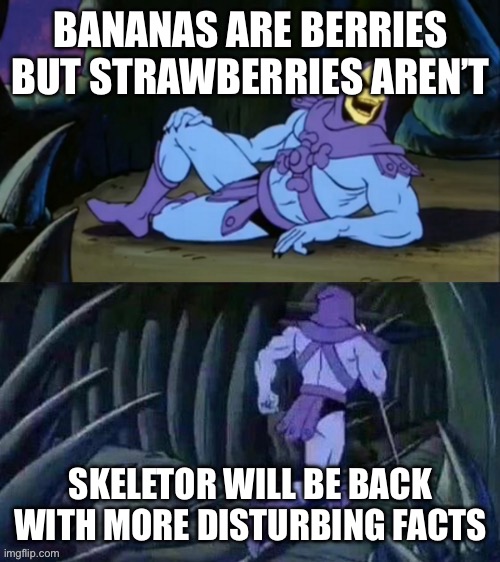 Why is this true? | BANANAS ARE BERRIES BUT STRAWBERRIES AREN’T; SKELETOR WILL BE BACK WITH MORE DISTURBING FACTS | image tagged in skeletor disturbing facts | made w/ Imgflip meme maker