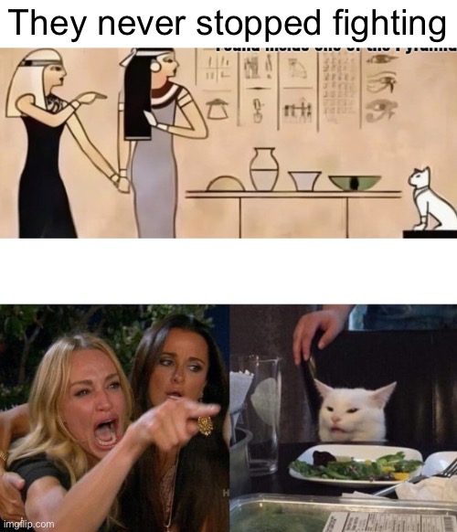 Never | They never stopped fighting | image tagged in memes,woman yelling at cat | made w/ Imgflip meme maker